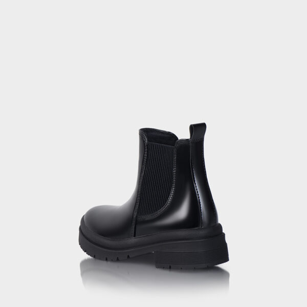Black Shine - Image 2